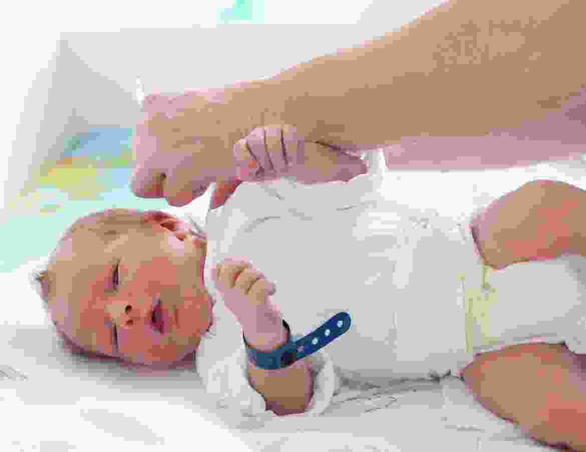 Aliquam ut dictum sapien